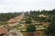 Mantaps in Tapovana